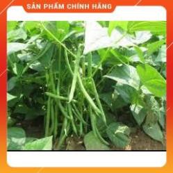 ĐẬU COVE BỤI HẠT TRẮNG CAO SẢN GÓI 50G