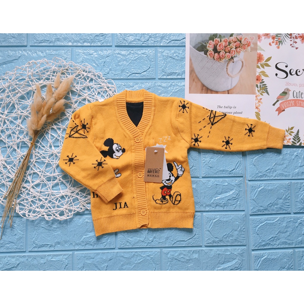 Áo Len Dài Tay Cho Bé Sơ Sinh Hàng QC Dày Ấm size 1-4(4-12kg)