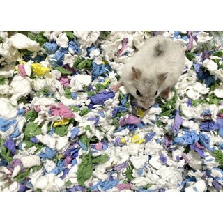 Giấy lót chuồng Hamster - Kayte 50g