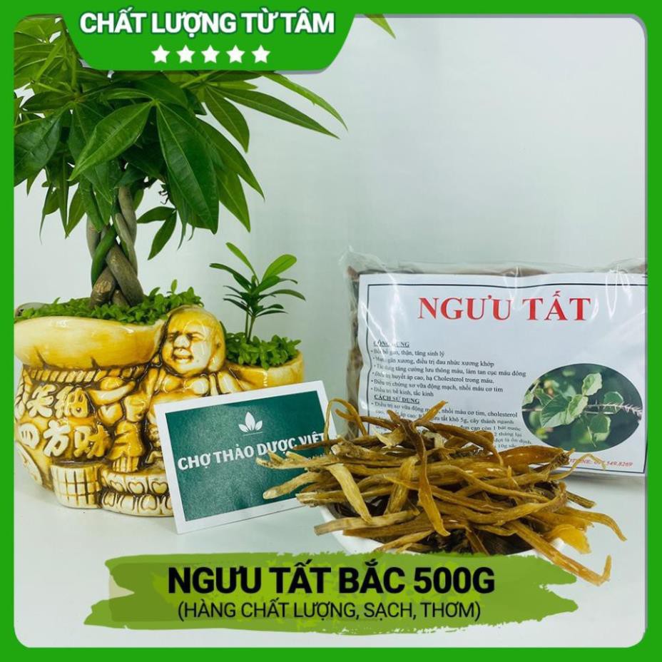 Cây Ngưu tất bắc 100g