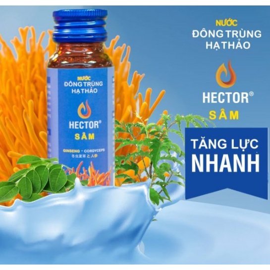 (CHÍNH HÃNG) Đông Trùng Hạ Thảo Hector Sâm, tăng cường sinh lý nam nữ - 10 chai