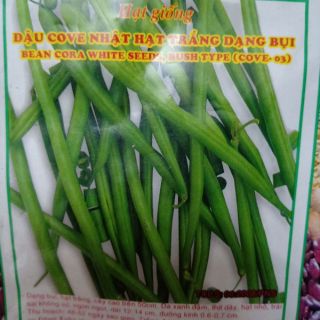 Gói 40 hạt giống Đậu cove Nhật dạng bụi