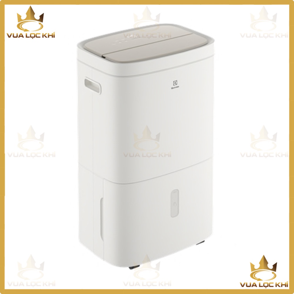 Máy tạo ion và hút ẩm Electrolux EDH10TRBW1