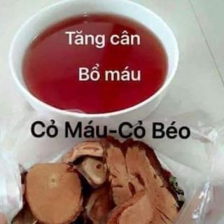 CÂY CỎ MÁU-CỎ BÉO