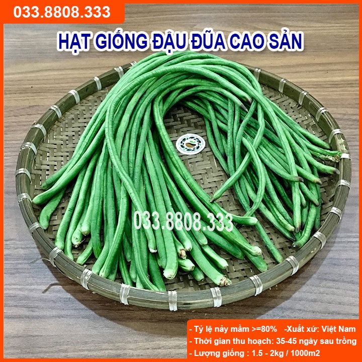 Hạt Giống Đậu Đũa 20gram -Giống Đẹp Giá Rẻ