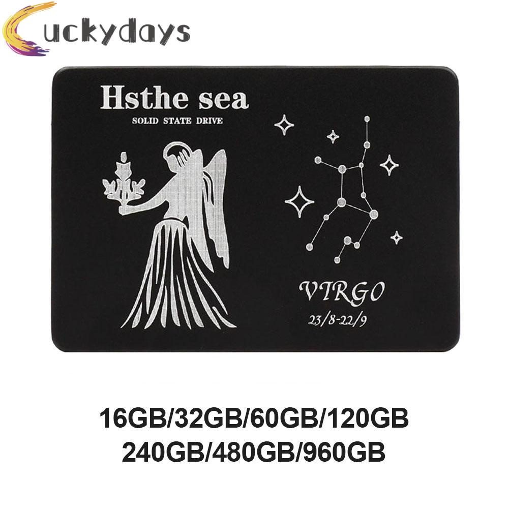 LUCKYDAYS 2.5 SATA III Internal SSD Solid State Drive Virgo Pattern for Computer PC | BigBuy360 - bigbuy360.vn