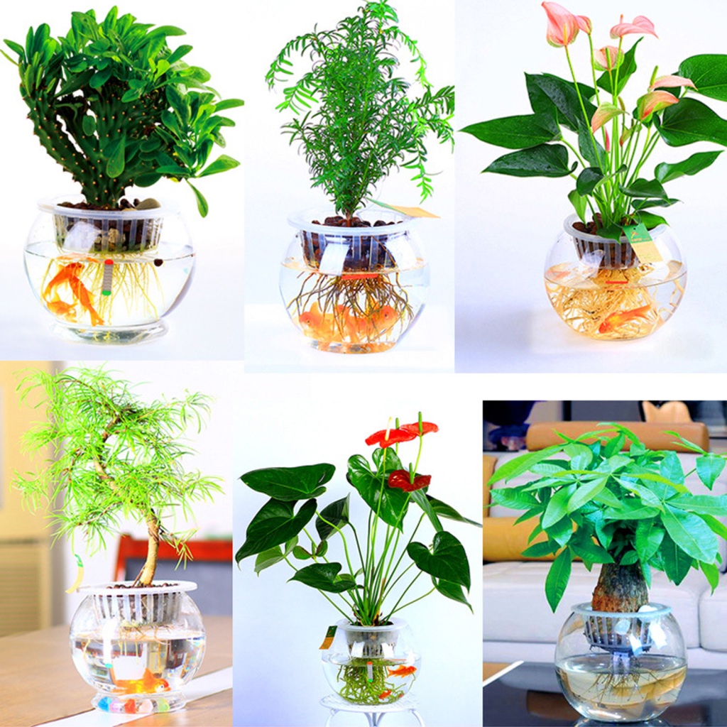 Bình Cắm Hoa Bằng Nhựa Trong Suốt Đa Năng Chất Lượng Cao