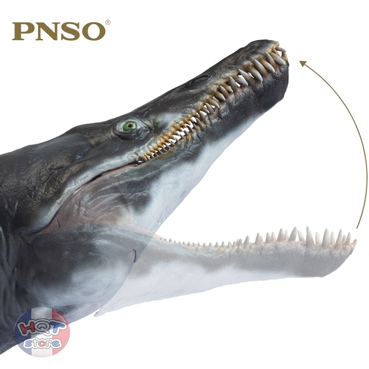 Mô hình Khủng Long Kronosaurus Jeff PNSO 2021 tỉ lệ 1/35 chính hãng