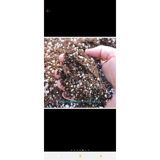 Đá perlite