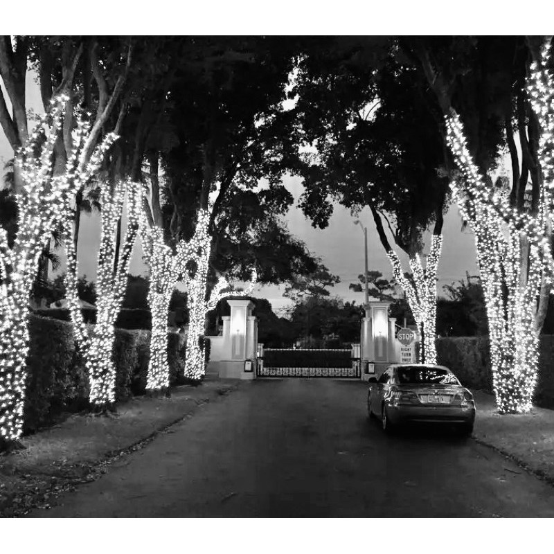 50met Dây đèn Led trang trí cây ngoài trời siêu dài