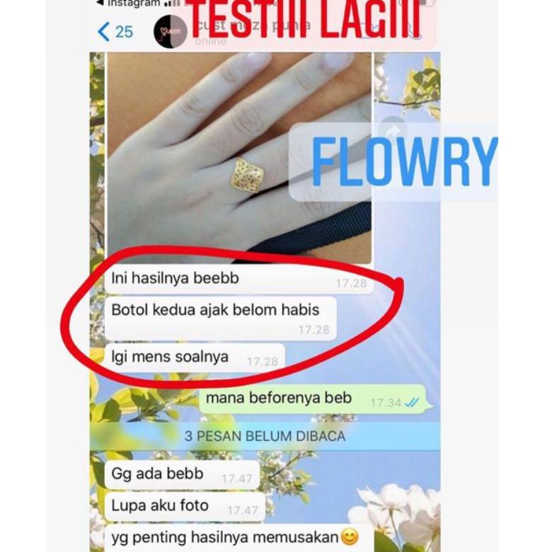 Mô hình nhân vật FLOWRY 58 | BigBuy360 - bigbuy360.vn