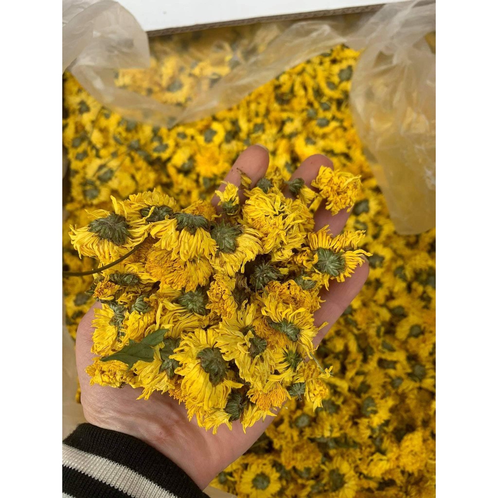 Trà hoa cúc vàng (Tặng 1 trà túi lọc và tặng 1 gói hoa nhài khi mua từ 200g)