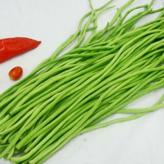 Hạt giống đậu đũa