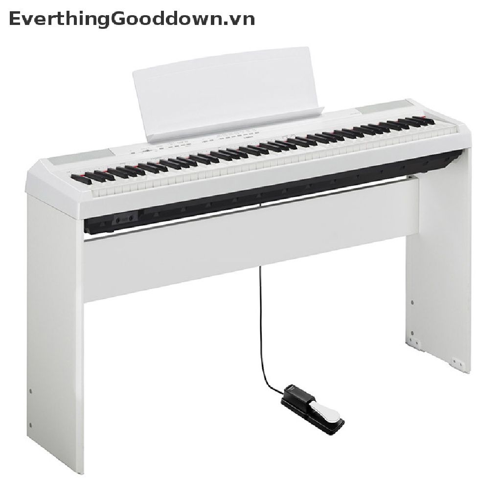 Bàn Đạp Chân Đạp Phân Cực Giảm Sốc Thông Dụng Cho Piano Điện