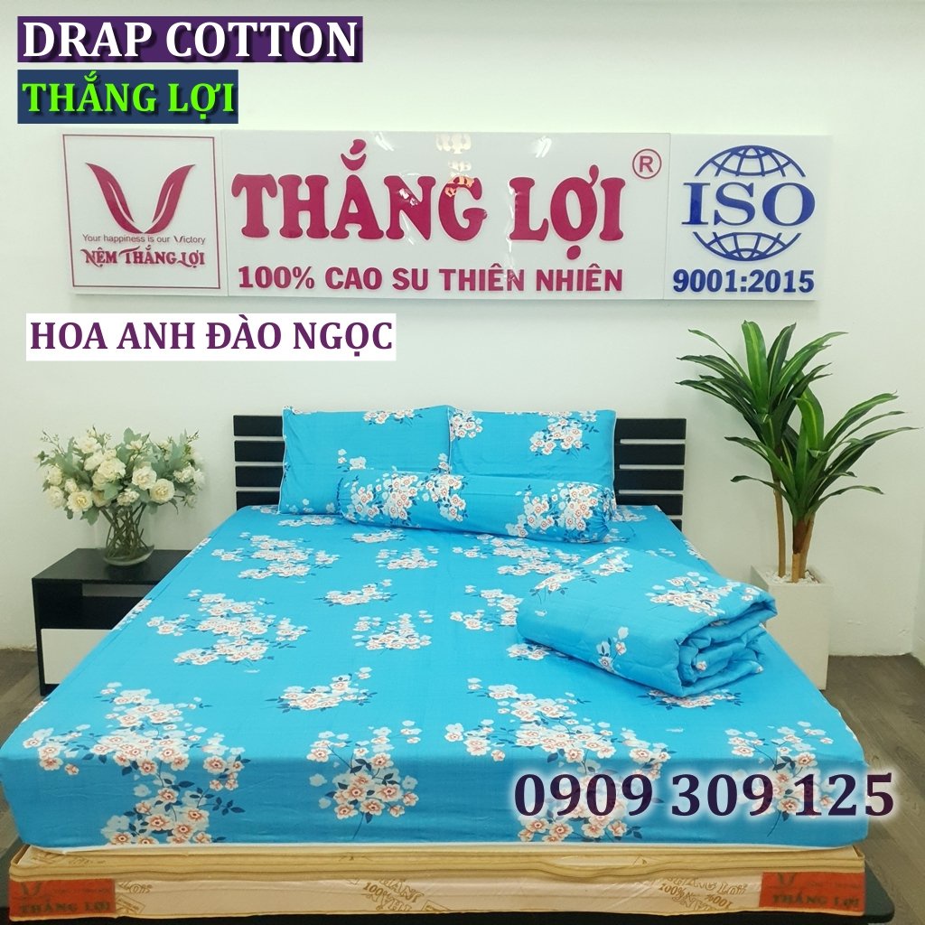 bộ ga cotton Thắng lợi chính hãng ( 4 món) IN LOGO THẮNG LỢI màu HOA ANH ĐÀO NGỌC