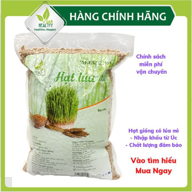 Hạt giống cỏ lúa mì 3kg, dễ trồng, thơm ngon, cung cấp vitamin, khoáng chất, diệp lục, giúp thải độc