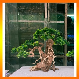 Mô hình Cây gỗ lũa thủy sinh SIZE đại Có tán lá dùng cho bể cá cảnh