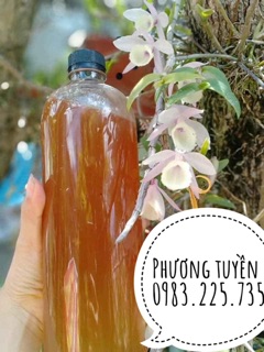 Mật ong rừng kbang