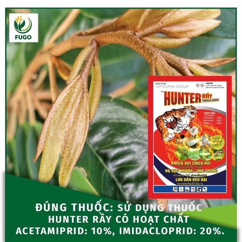 Hunter Rầy Sử dụng HUNTER RẦY có hoạt chất Acetamiprid: 10%, Imidacloprid: 20%.