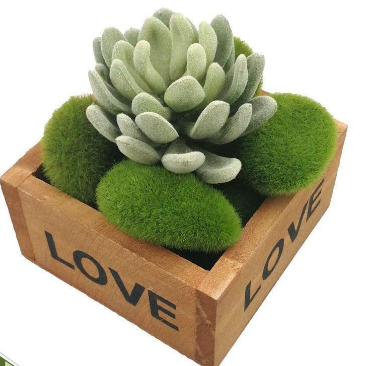 Combo 3 viên đá phủ rêu giả trang trí tiểu cảnh, rêu đá nhân tạo làm terrarium