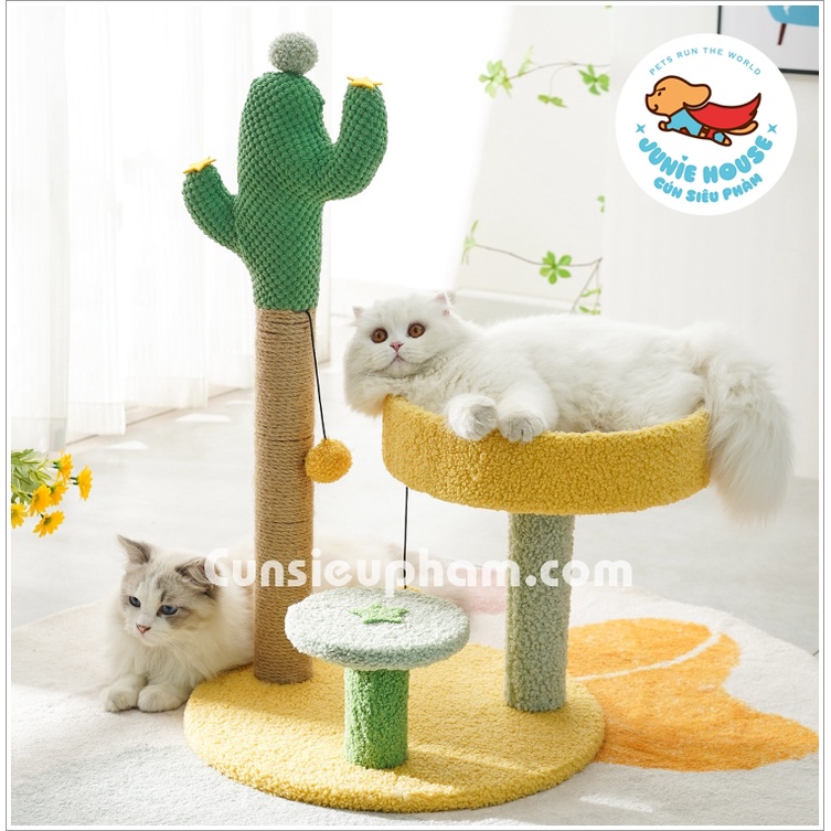 CATTREE đồ chơi trụ cào móng xương rồng kèm ổ nằm siêu to cho mèo