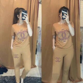 Compo hằng thị