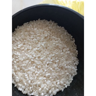 Nếp Nương Lào 1kg
