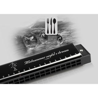 Kèn harmonica SWAN 52 cao cấp 24 lỗ  .