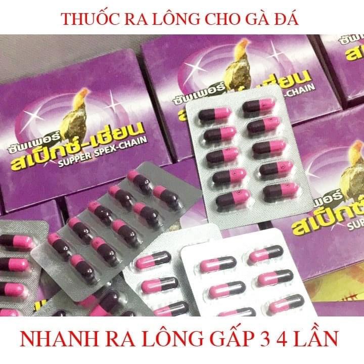 COMBO 3 VĨ  -  -  - mỏi vĩ 10 viên