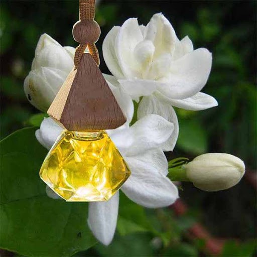 Vỏ lọ không đựng tinh dầu, dầu thơm treo xe, treo mọi nơi