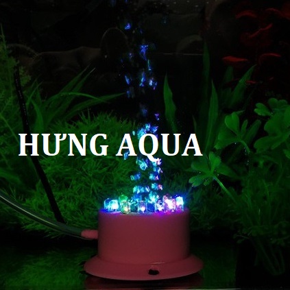 ĐÈN LED MINI TÍCH HỢP ĐÁ SỦI OXY TRANG TRÍ BỂ CÁ, ĐÁ SỦI OXY CÓ ĐÈN BỂ CÁ CẢNH