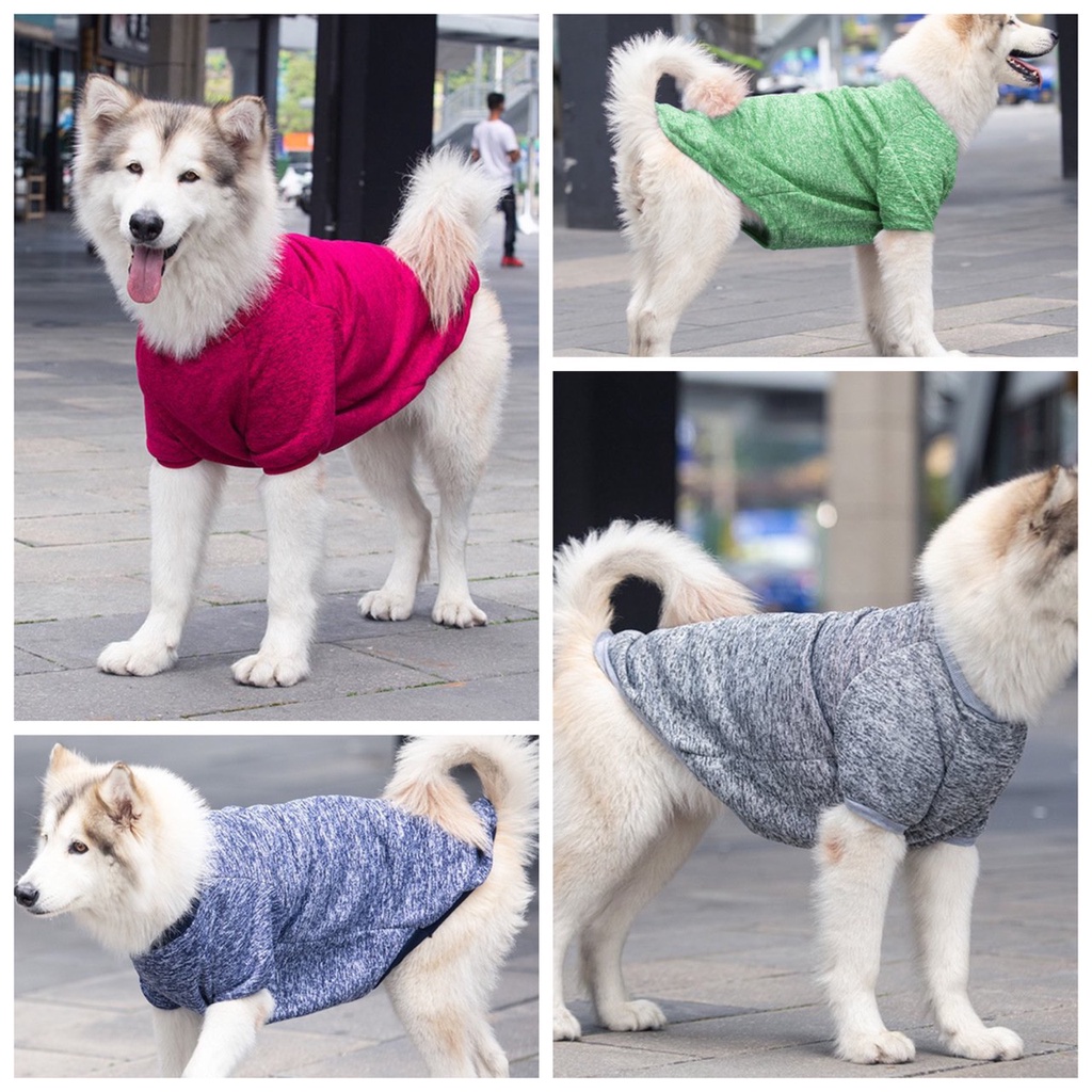 Áo Nỉ Cho Chó Lớn