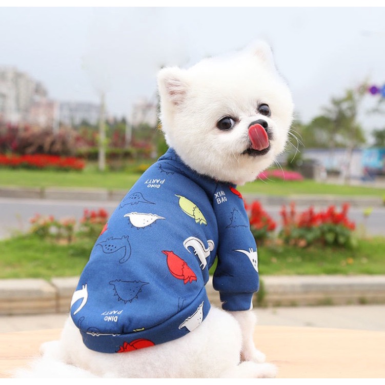 Áo nỉ nhiều hoạ tiết ☺️☺️