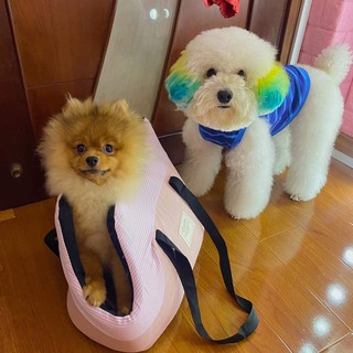túi vận chuyển thú cưng