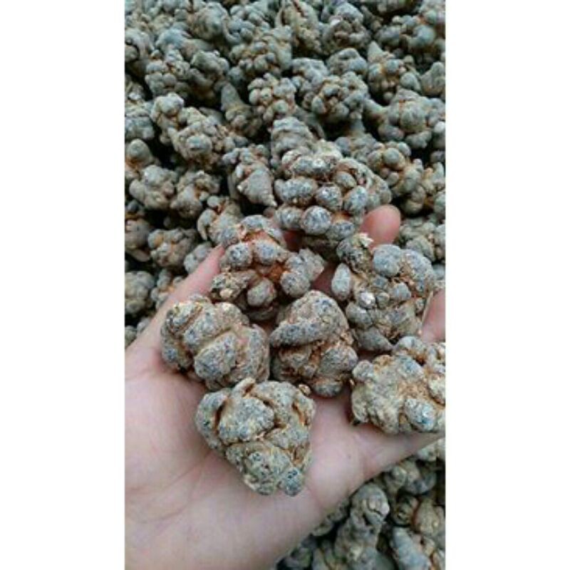 sỉ lẻ củ tam thất 500g