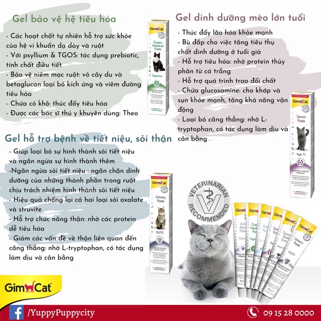 [𝐆𝐢𝐚́ 𝐡𝐮𝐲̉ 𝐝𝐢𝐞̣̂𝐭] Gimcat Gel bảo vệ tiêu hóa, điều trị đi ngoài và rối loạn tiêu hóa và bùi lông cho mèo 50GR