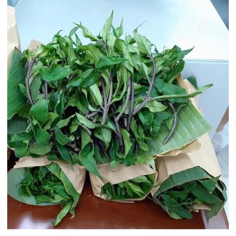 RAU LỦI  GIA LAI - ĐẶC SẢN TÂY NGUYÊN