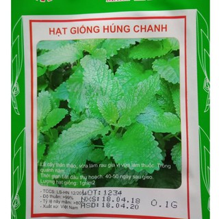 Hạt giống rau húng chanh - Gói  0,1 gram - STHG2
