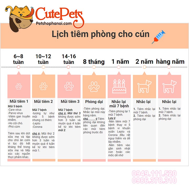 [Now, Grab] Chó 7 in 1, 5 in 1, Mèo 4 in 1 kèm sổ và kim - CutePets