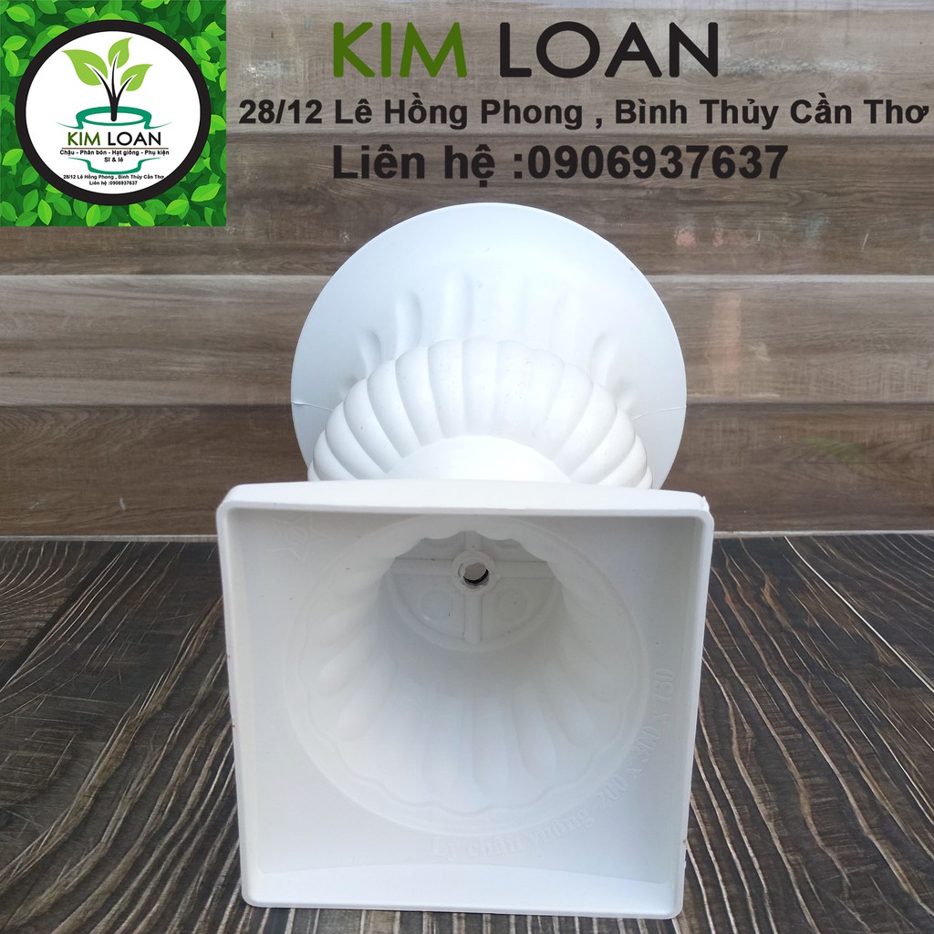 Chậu nhựa ly cúp 20x30cm