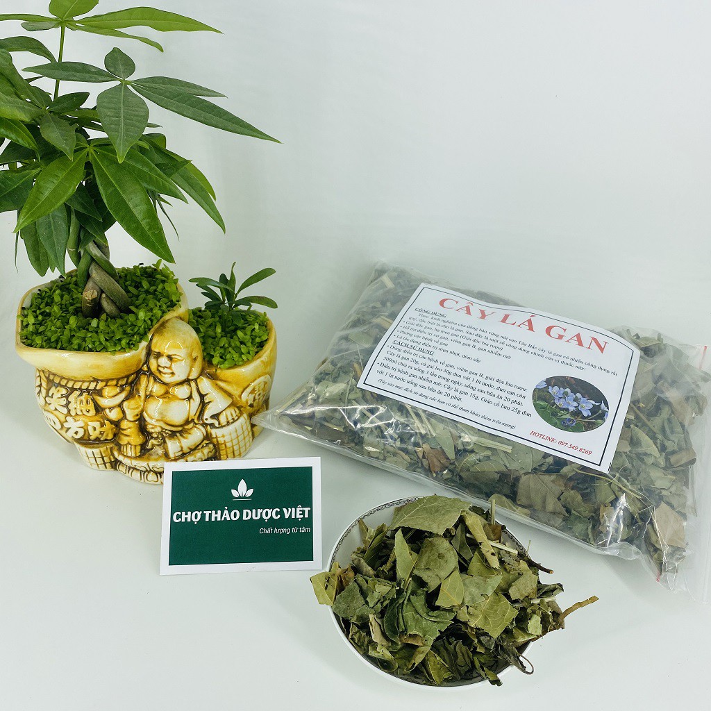 500gr Cây Lá Gan (Xanh, Thơm, Sạch)