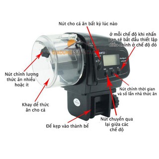 Máy cho cá ăn tự động AF-2009D