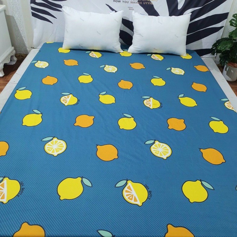 GA CHỐNG THẤM COTONG HÀN QUỐC IN HÌNH SIÊU ĐẸP shop KUMO