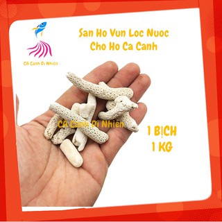 San hô vụn 1kg (1000Gram) lọc nước cho bể cá - San hô đũa giá sỉ cho hồ cá koi