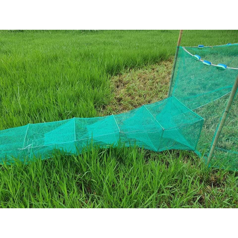 Đăng chặn sông, cống - bắt tôm tép tất cả các loại cá - Dớn bắt cá, cua, lươn 30/50