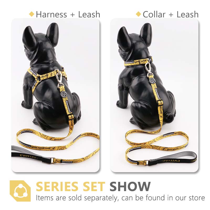 HamshMoc Dây đai dễ điều chỉnh độ dài để dắt thú cưng vừa và nhỏ đi dạo 4