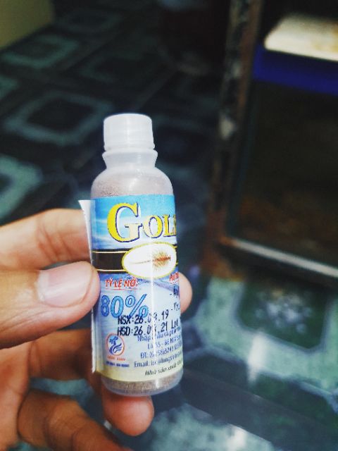 COMBO BỘ ẤP VÀ 10G ARTEMIA ẤP MỸ CHO CÁ