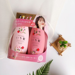 Bộ gội xả ICHIKAMI - 480ml/chai