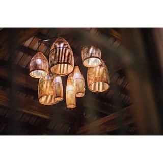 Chao đèn nơm cá các kiểu