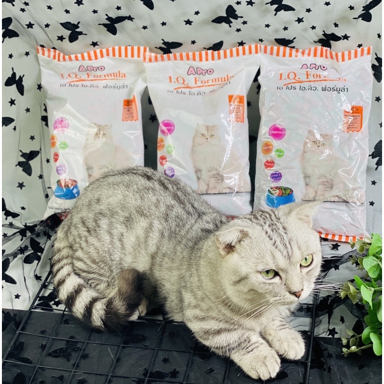 [Mã PET50K giảm Giảm 10% - Tối đa 50K đơn từ 250K] HẠT CHO MÈO APRO IQ